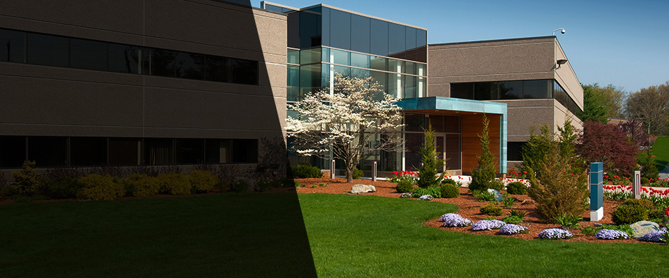 Auburndale Landscapers