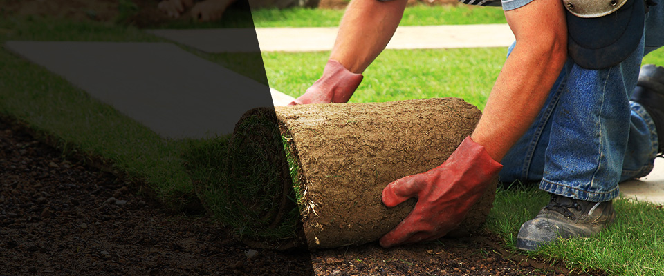 Auburndale Landscapers